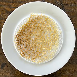 Korallenhippe_(Schritt-für-Schritt-Anleitung)