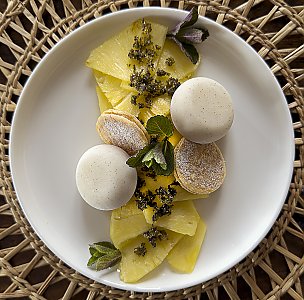 Kokos-Panna Cotta mit Ananas und Minze