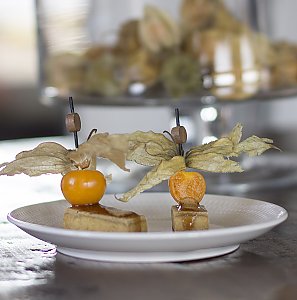 Gebratener Tofu mit Sojamarinade und Physalis