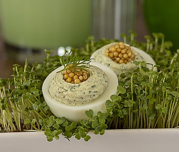 Gefüllte Eier mit Senfkaviar