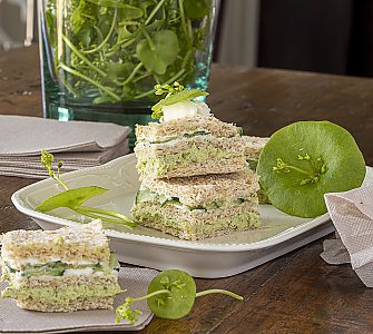 Portulak-Aal-Tramezzini