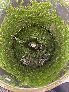 Schnittlauchöl (Schritt-für-Schritt)