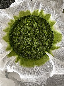 Schnittlauchöl (Schritt-für-Schritt)