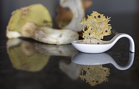 Steinpilz-Panacotta