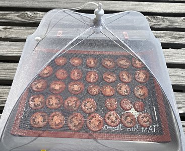 Tomatenchips