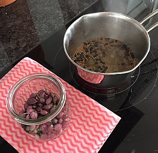 Schnittlauchblüten