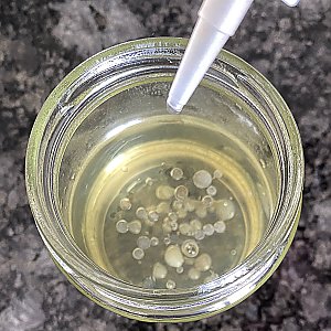Veganer Kaviar (Schritt-für-Schritt-Anleitung)