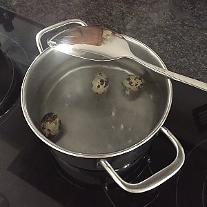 Wachtelei richtig kochen